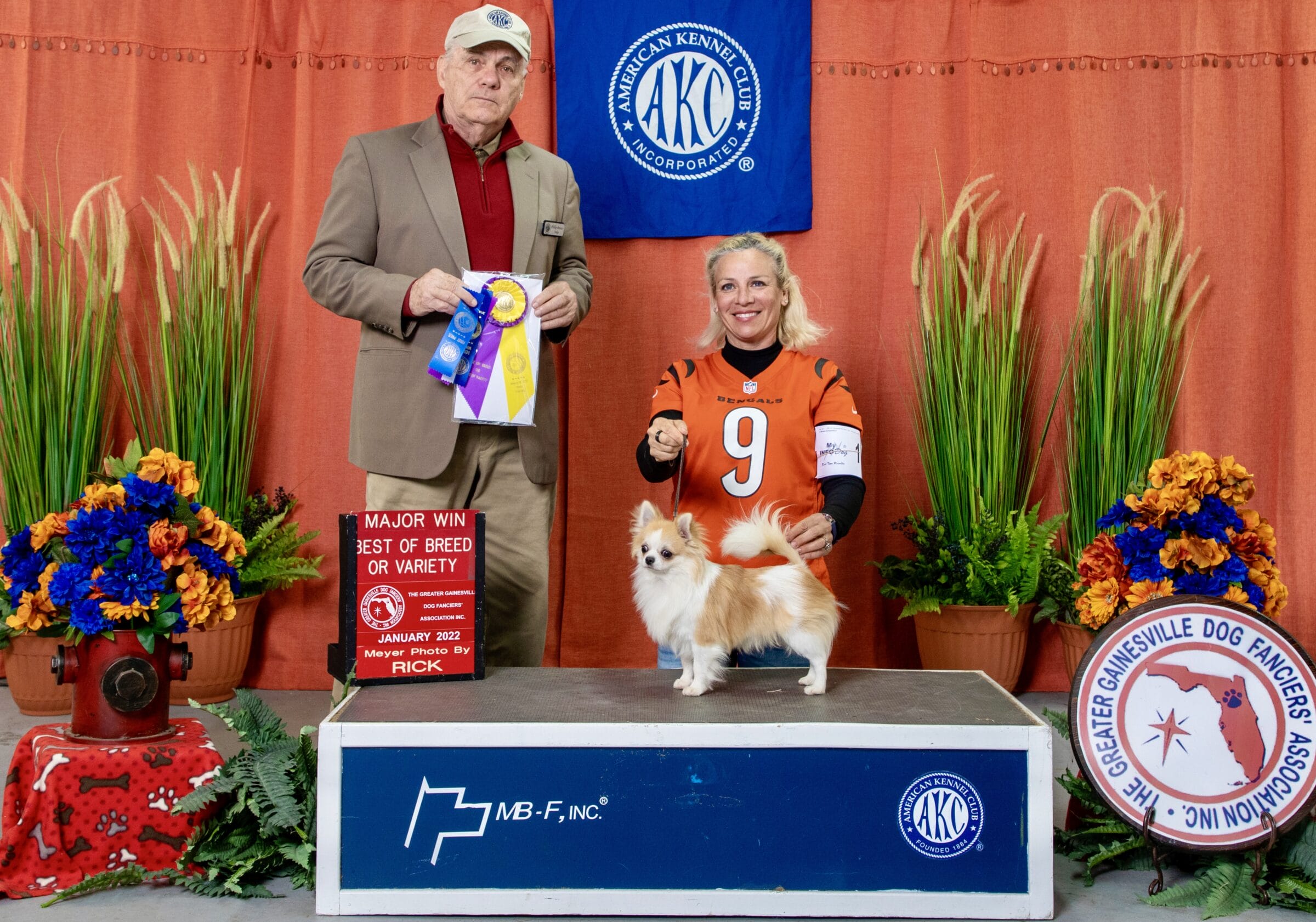 Tsunami's Chihuahuas – Better Breeder Institute