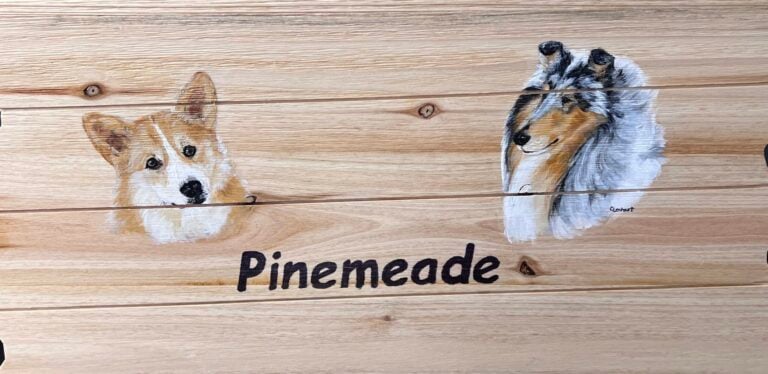 Two painted dog portraits, a Corgi and a Collie, on a wooden sign that reads "Pinemeade".