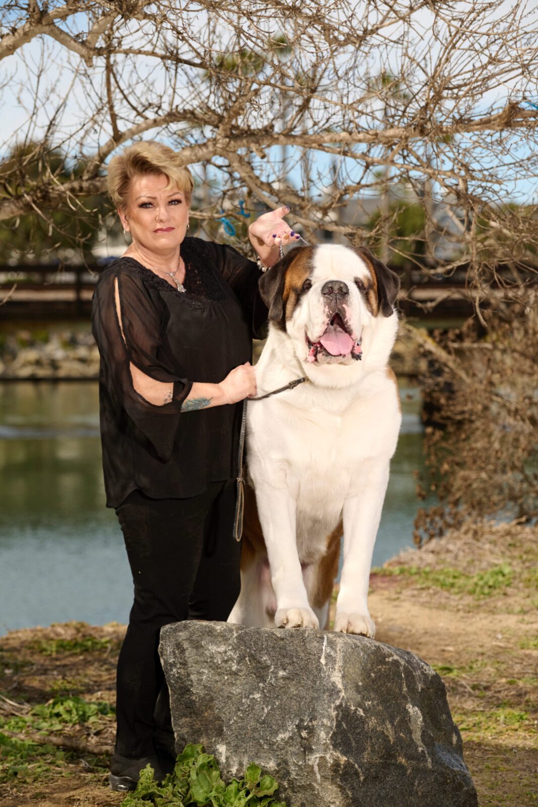 Woman with a large Saint Bernard dog standing on a rock by a lake.