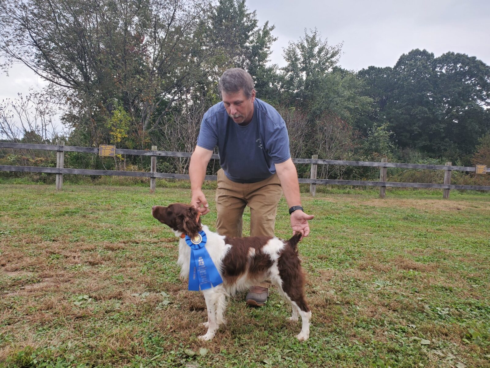 Man with a brown and white dog wearing a blue ribbon outdoors.