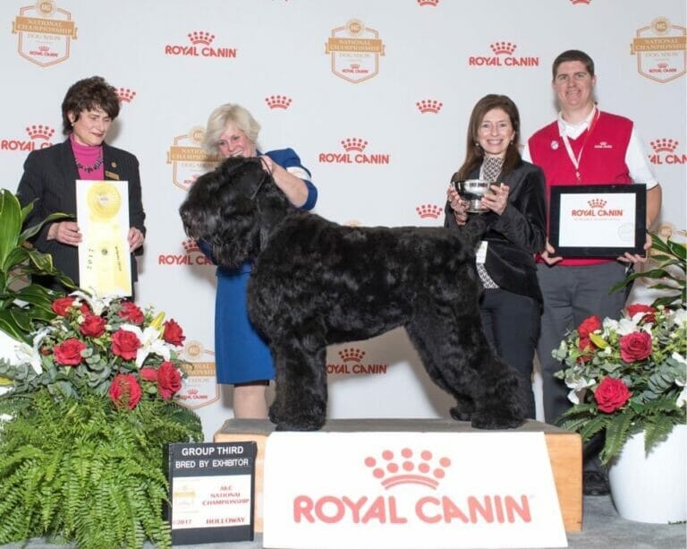 Robin Keeling (Black Russian Terriers)