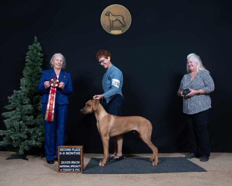 TerraCotta-Rhodesian-Ridgebacks-Scout-National-2nd-pl-Rosemary-Green-DSC_9979
