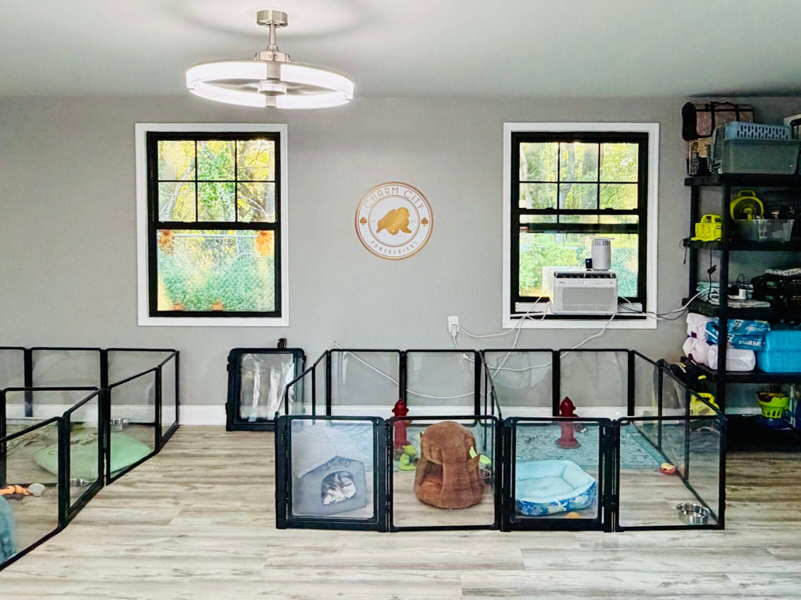 Dog kennels with beds and toys, two windows, and a ceiling fan.