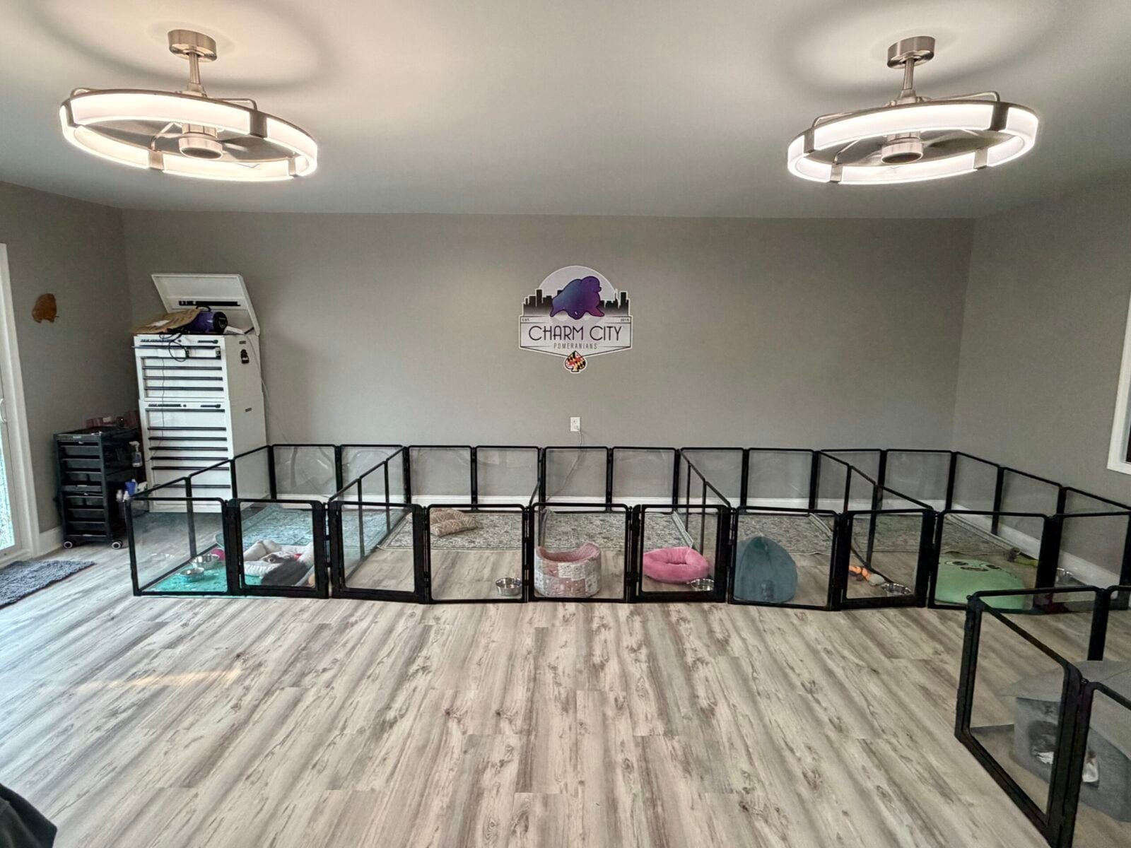 Indoor dog playpens with beds and toys.