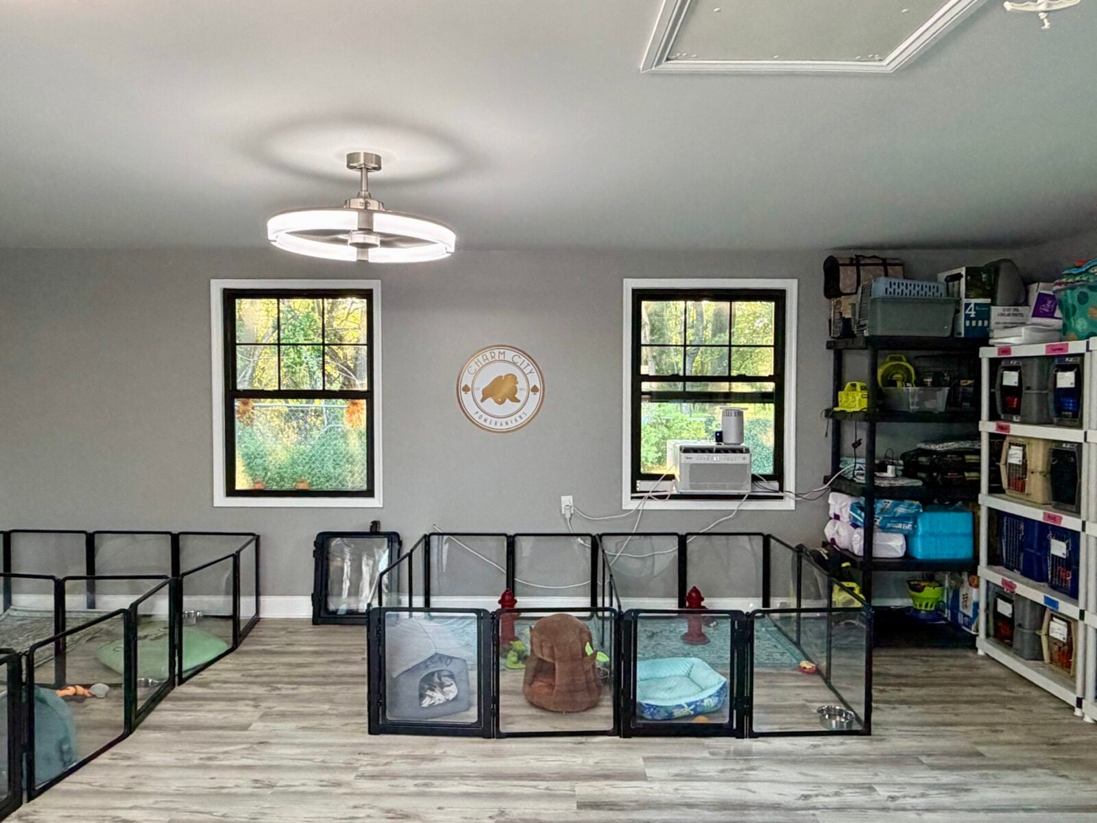 Puppy playpens with beds and toys in a room with windows and shelving.