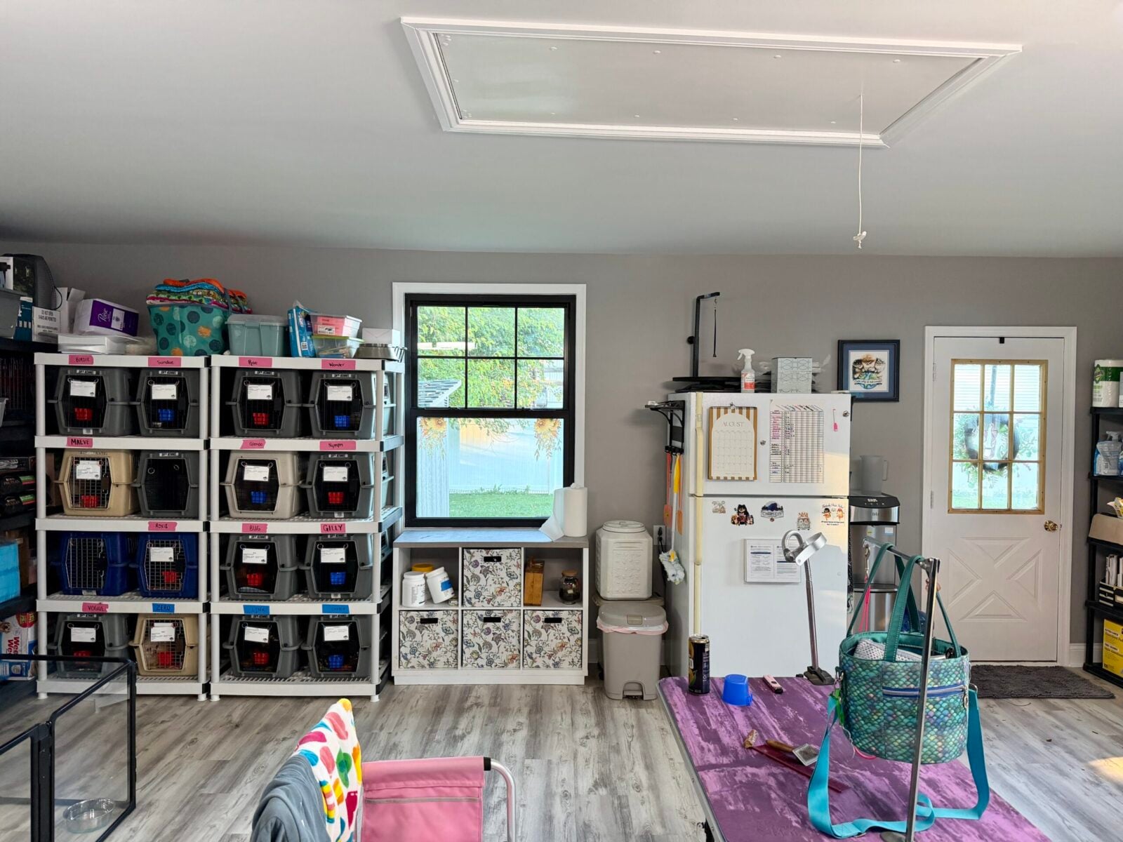 Shelving units filled with pet crates, a refrigerator, and a door.