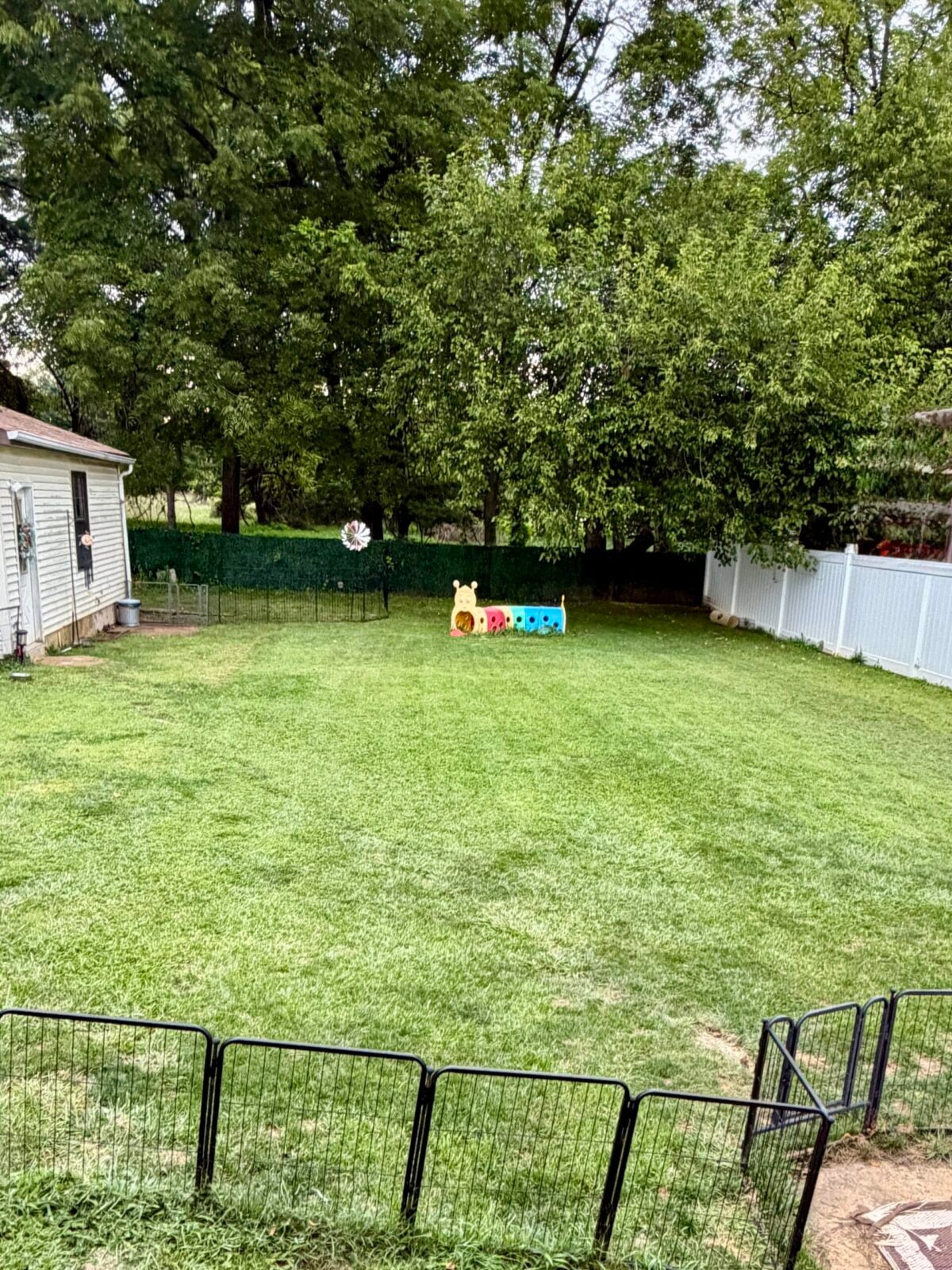 Backyard with green grass, trees, and a colorful caterpillar-shaped play structure.