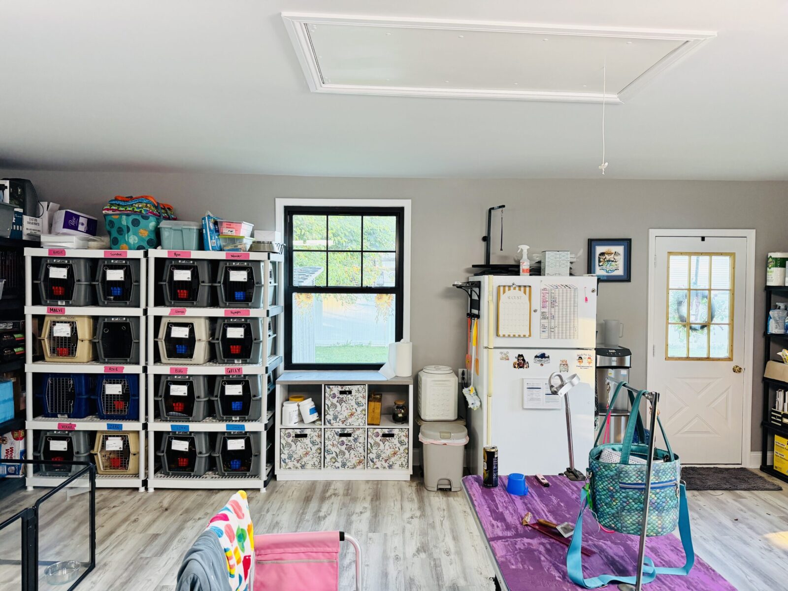 Shelving units filled with pet crates, a refrigerator, and a door in a room.