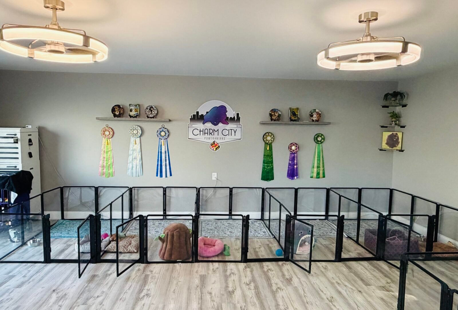 Puppy playpens with toys and dog beds, decorated with ribbons and a logo.