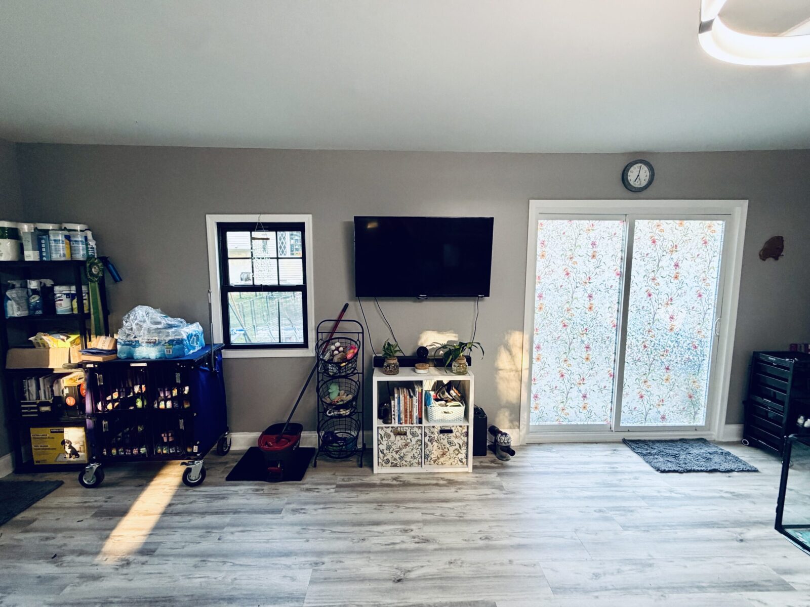 Living room with TV, sliding glass door with floral film, and storage carts.