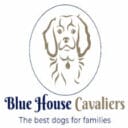 Blue House Cavaliers