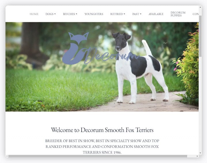 Decorum Smooth Fox Terriers Homepage