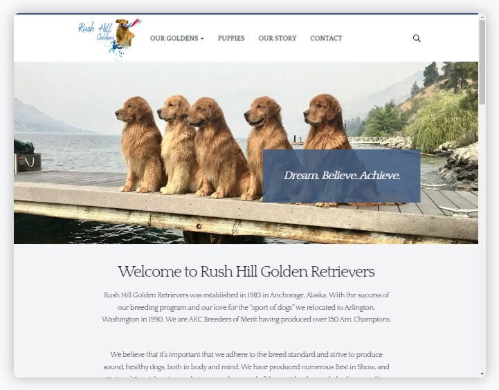 Rush Hill Golden Retrievers Homepage
