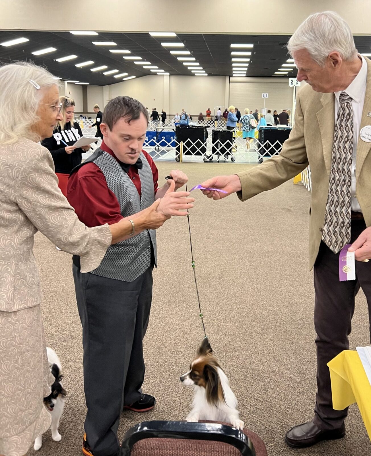 A man in a vest shows a dog to two judges, one handing him a ribbon, while another dog waits nearby.