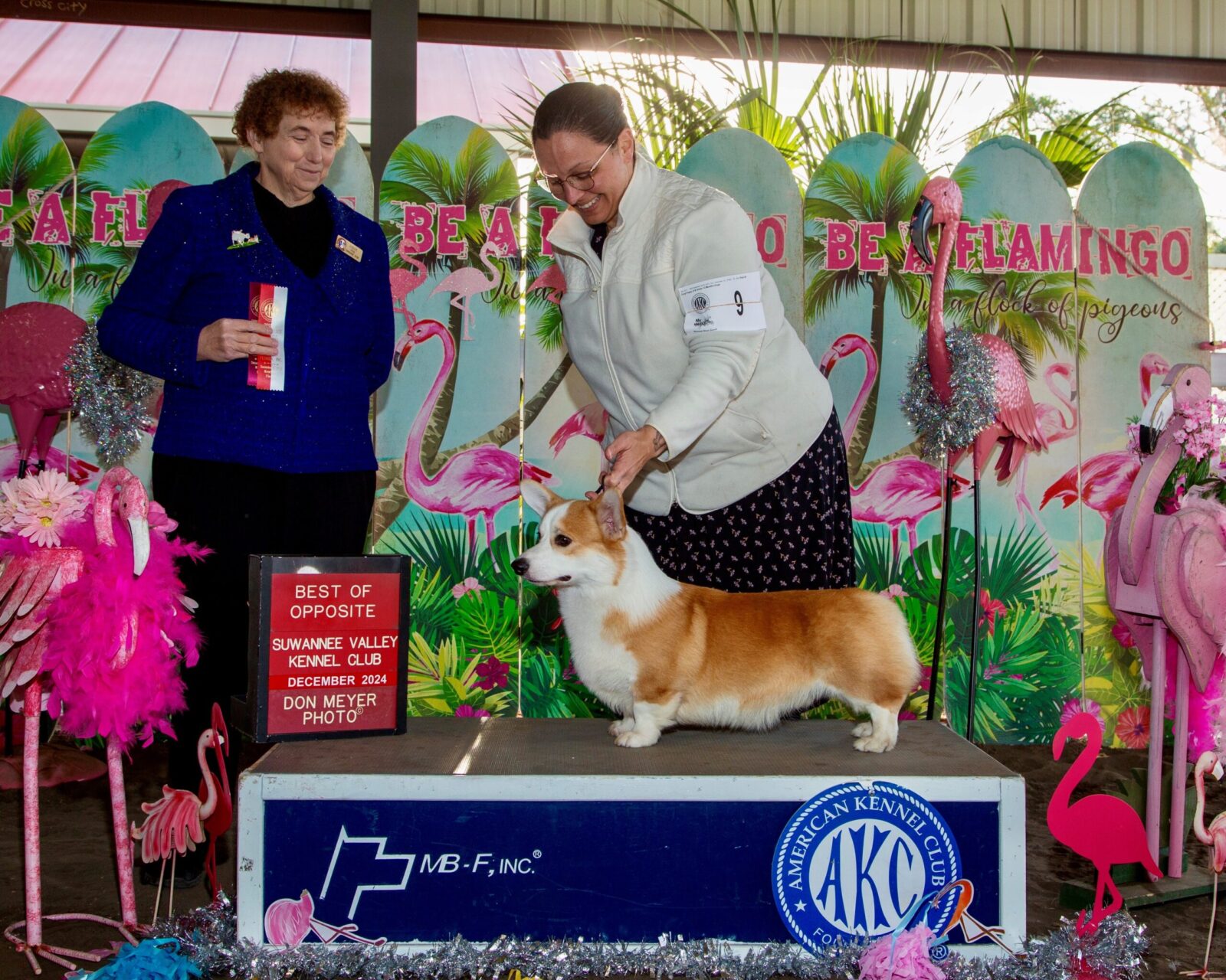 A woman presents a corgi on a podium, surrounded by colorful flamingo decorations and a "Best of Opposite" award.