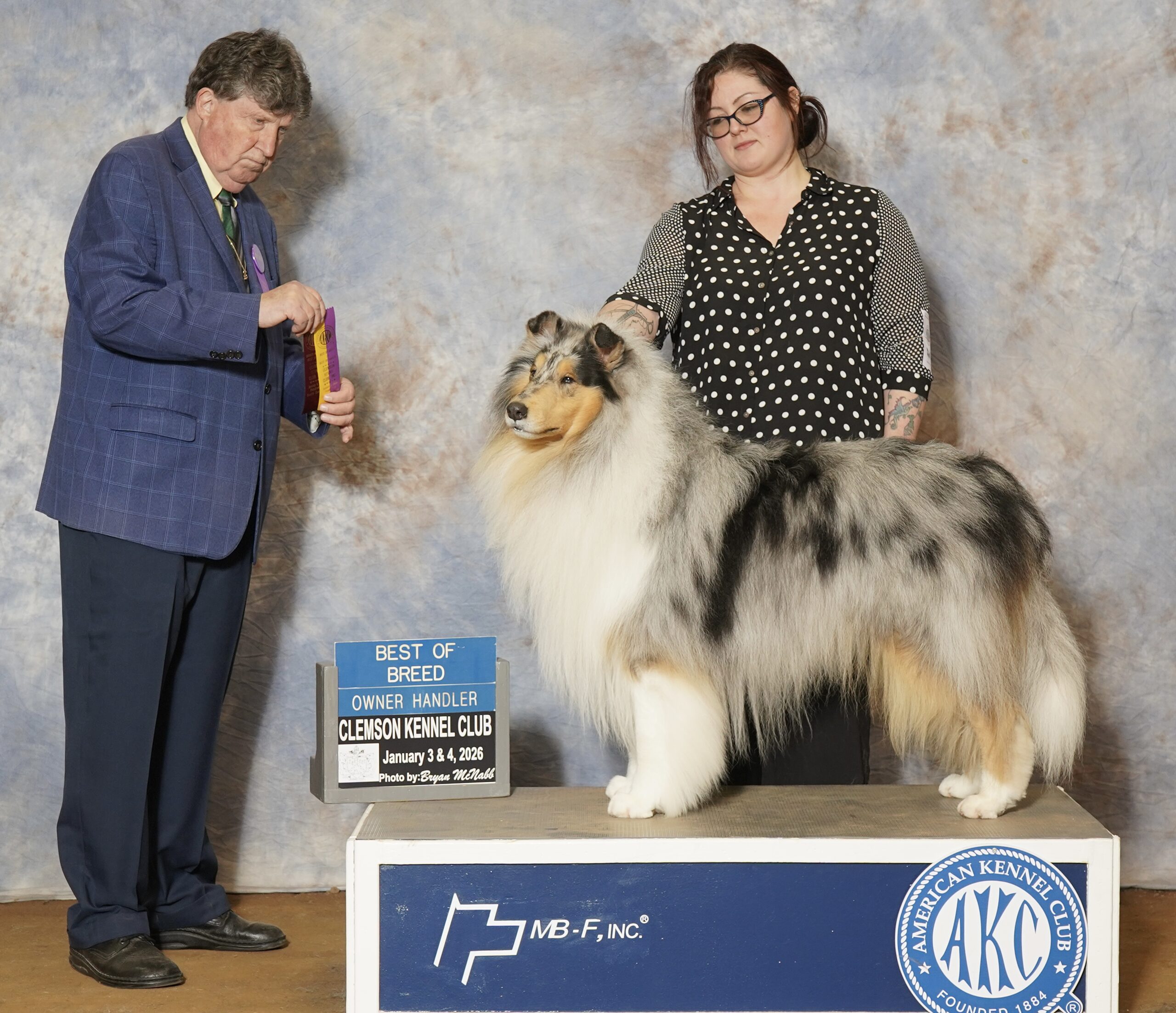 CH Lindale Merlin's Starry Knight | Rough Collie Stud Dog