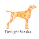 Firelight Vizslas