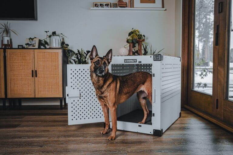 IMPACT Dog Crates Built For Protection impact-dog-crates-built-for-protection