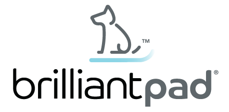 BrilliantPad Logo