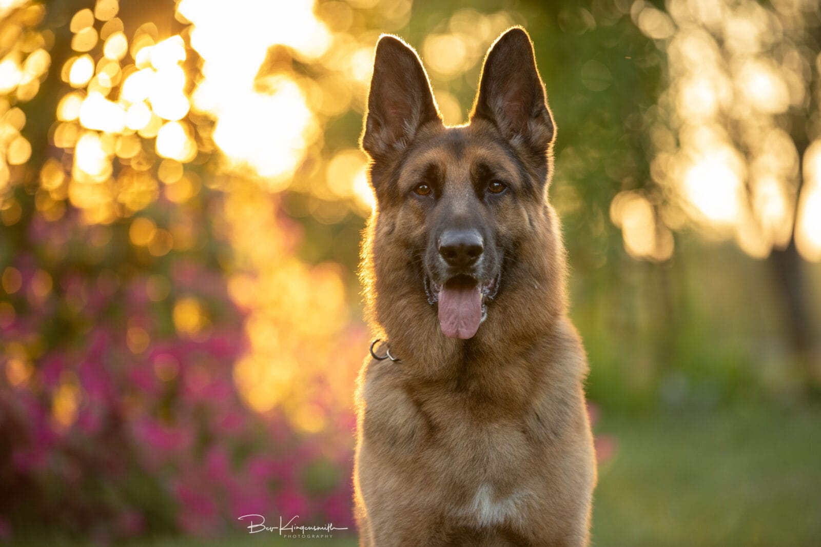 Bev Klingensmith Photography-A44I6355w