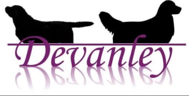 Devanley logo