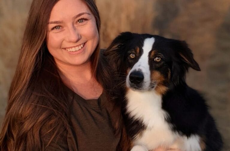 Sagamore Miniature American Shepherds