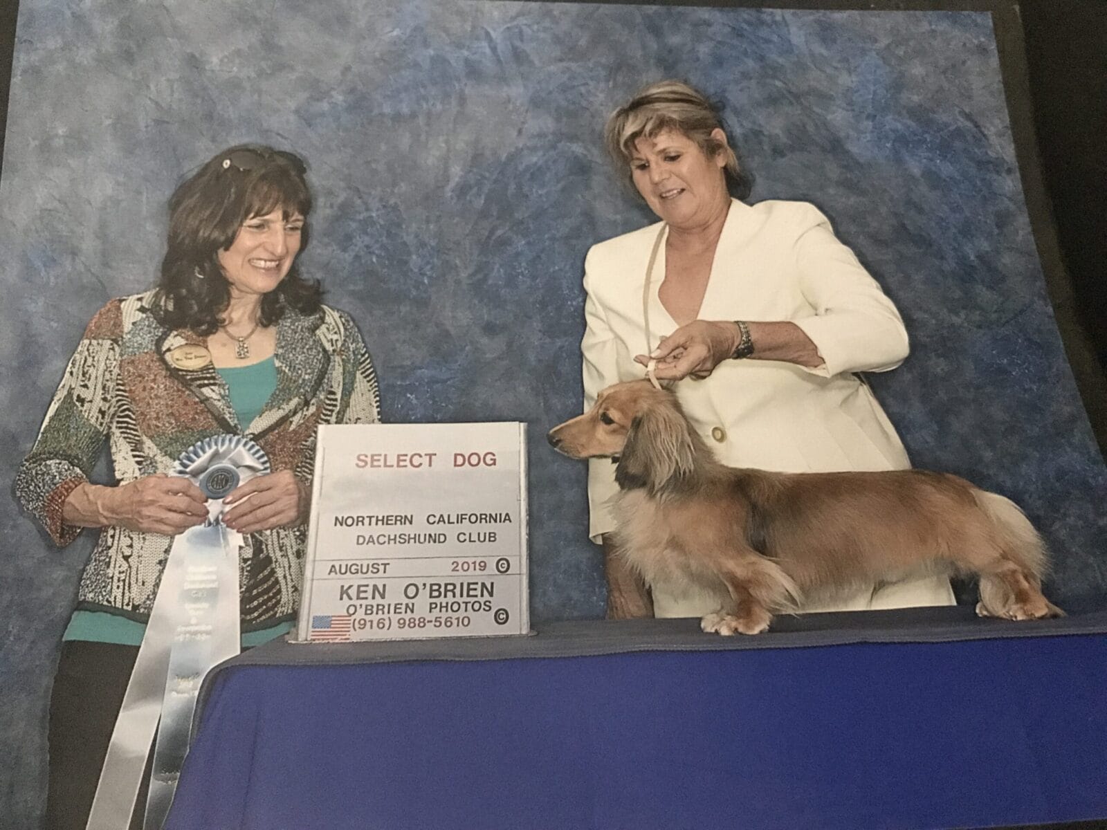 Bacchanal-Dachshunds-58891083730__0BAD98CE-ECA5-4B63-8386-BF99D9CFF41C