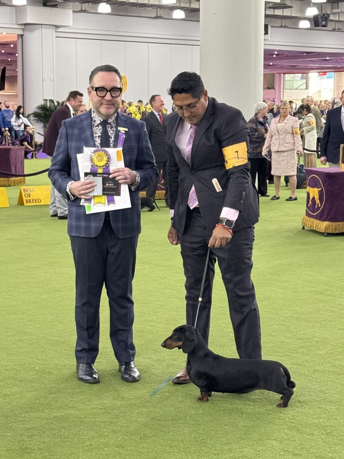 Bacchanal-Dachshunds-IMG_3223
