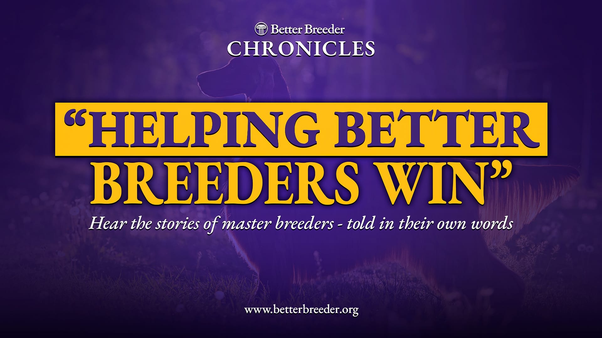 Better Breeder Chronicles Podcast Thumbnail