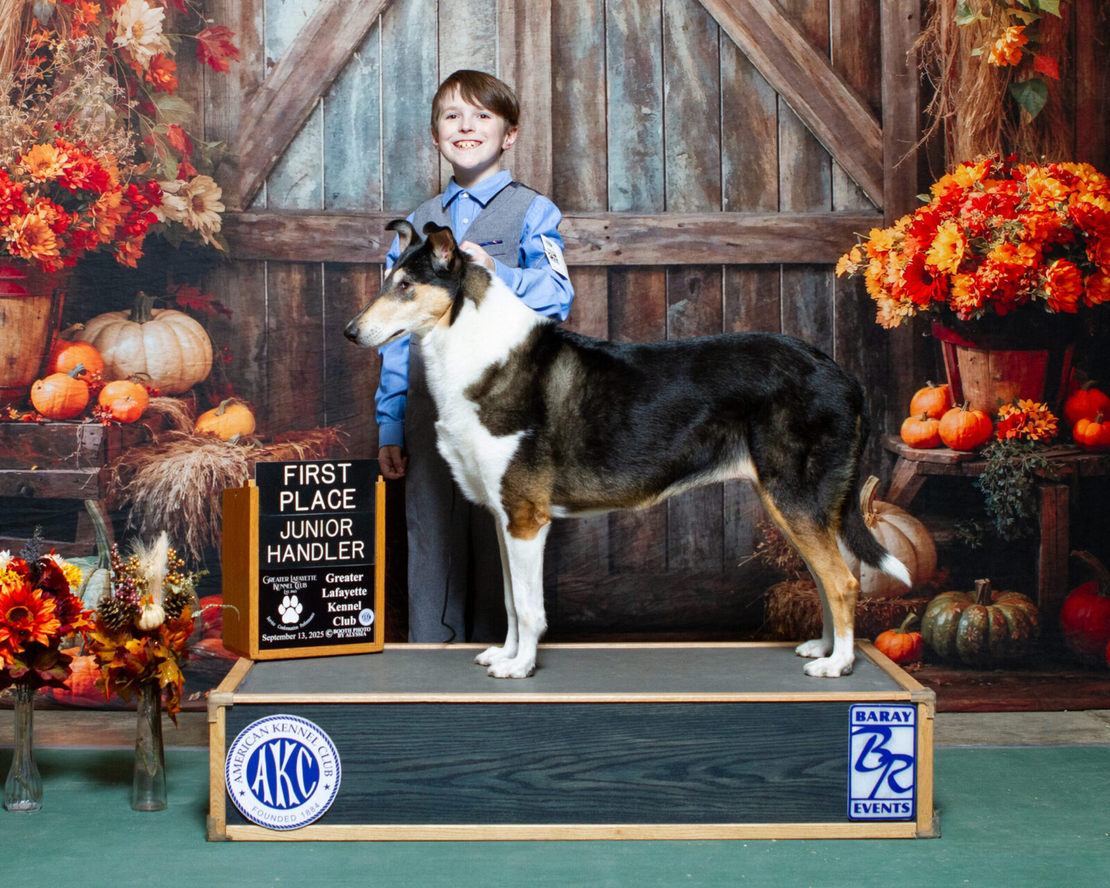 A young boy in a blue shirt stands proudly beside a collie on a podium, holding a "First Place Junior Handler" sign.