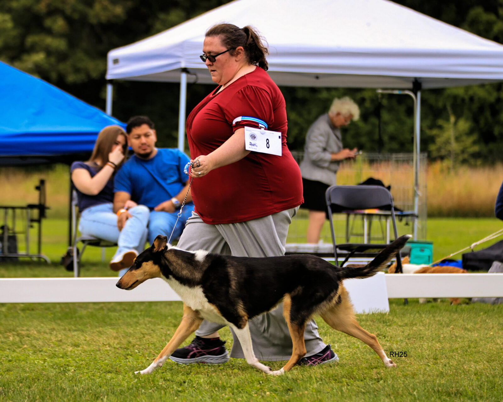 A woman in a red shirt walks a collie dog on a grassy field, with spectators and tents in the background.