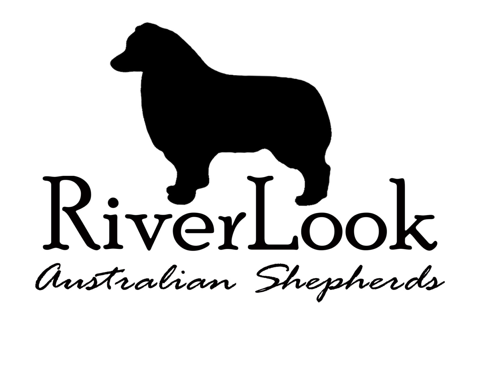 Silhouette of an Australian Shepherd above the text "RiverLook Australian Shepherds" in a stylish font.