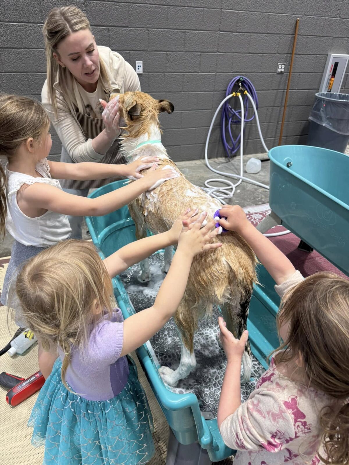A woman and three young girls wash a dog in a tub, surrounded by bubbles and grooming tools in a bright indoor space.