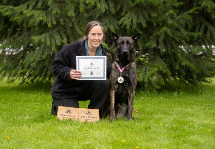 Schafers Weg Dutch Shepherds Kelley_IGPtrial1