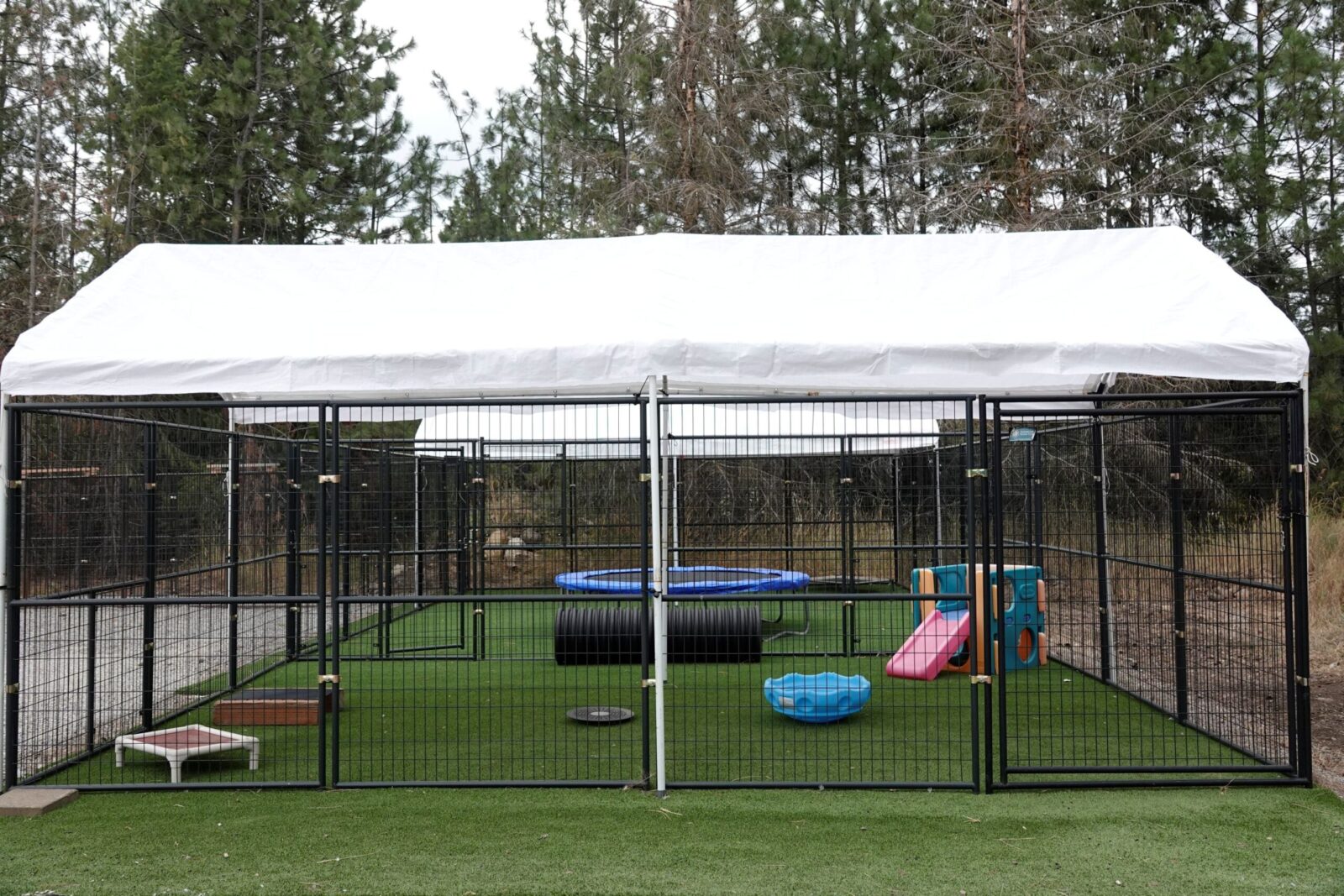 Schafers Weg Dutch Shepherds Kennels Puppy_yard