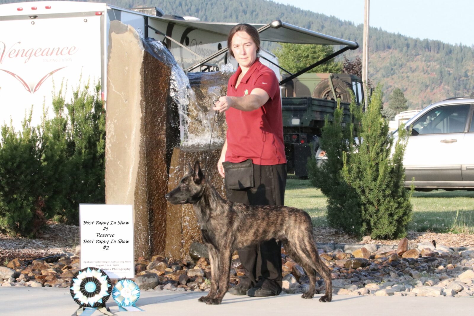 Schafers Weg Dutch Shepherds Vise_IABCA_BISPuppy