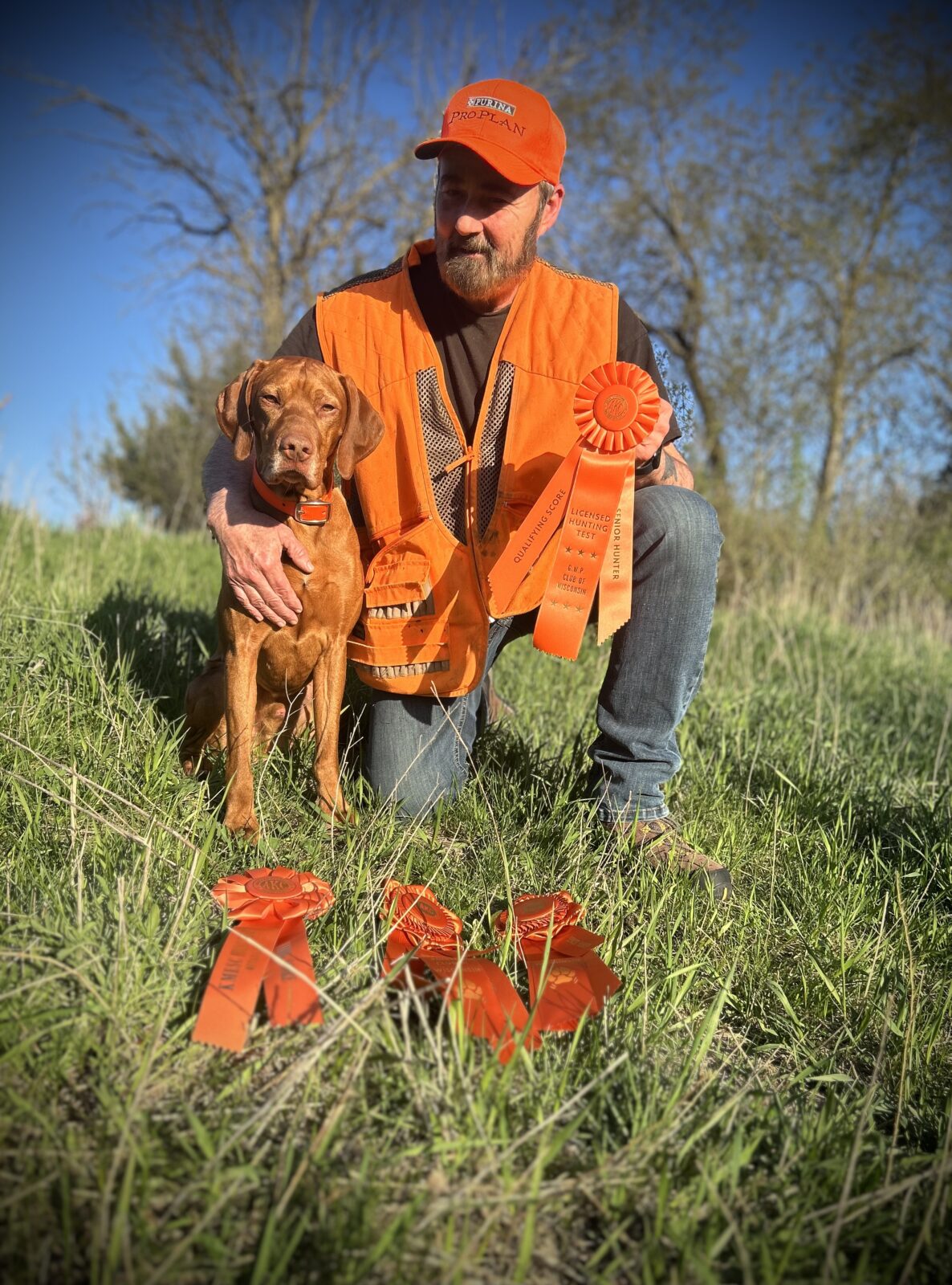 A man in an orange vest kneels beside a brown dog, showcasing several orange ribbons on the grass.
