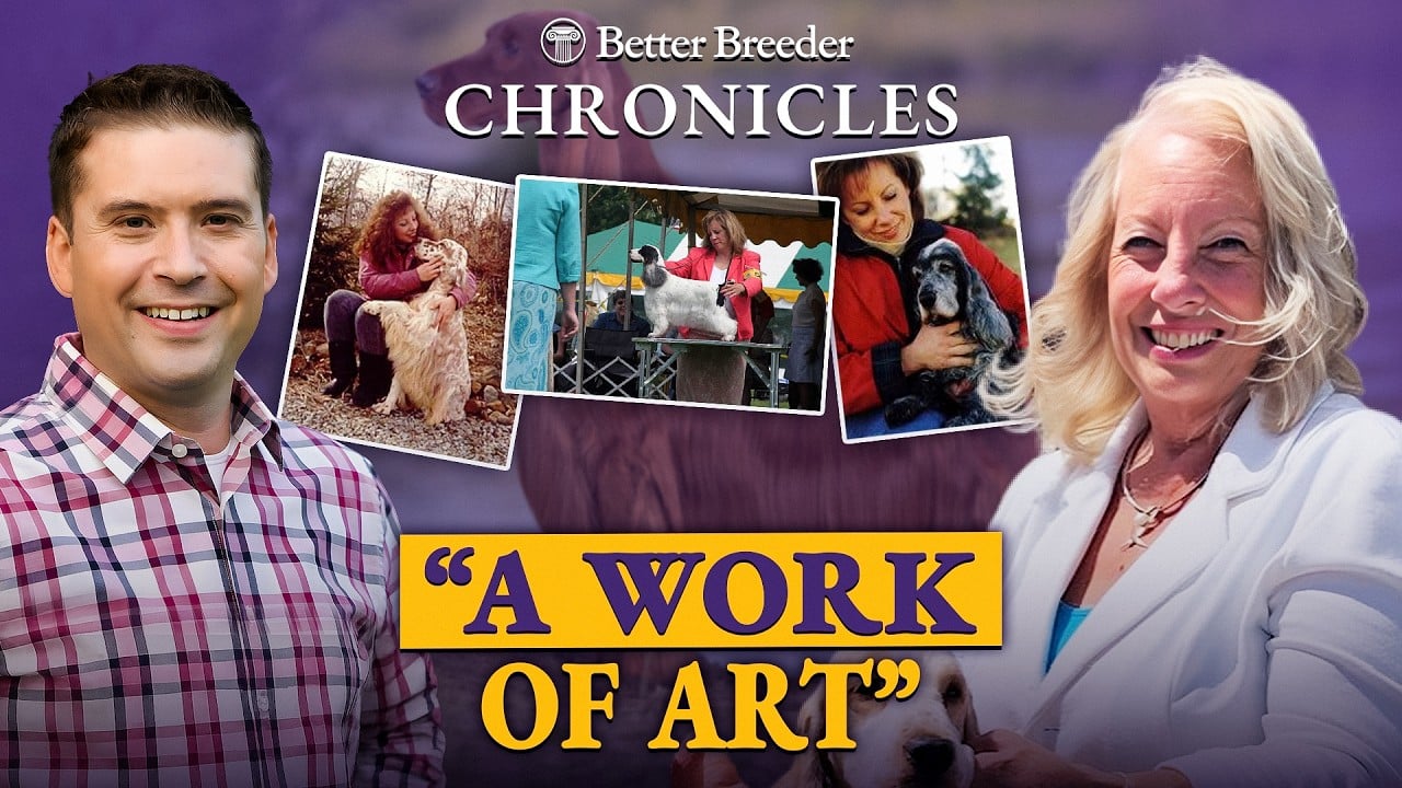 Meet Pam Lefever: Master Breeder of Brasswinds English Cockers & English Setters