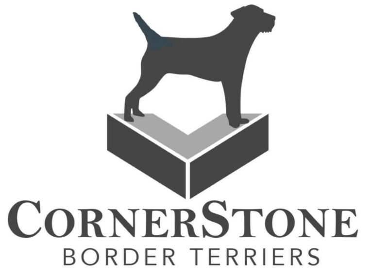 Silhouette of a Border Terrier on a stone block, with "CornerStone Border Terriers" text.