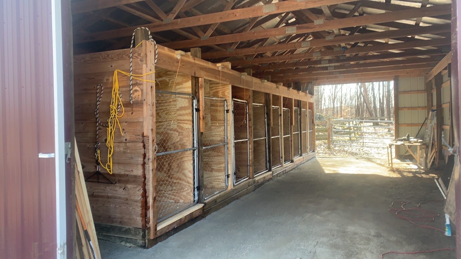 Wooden horse stalls with metal gates inside a barn, sunlight streaming through the open entrance, tools visible in the background.