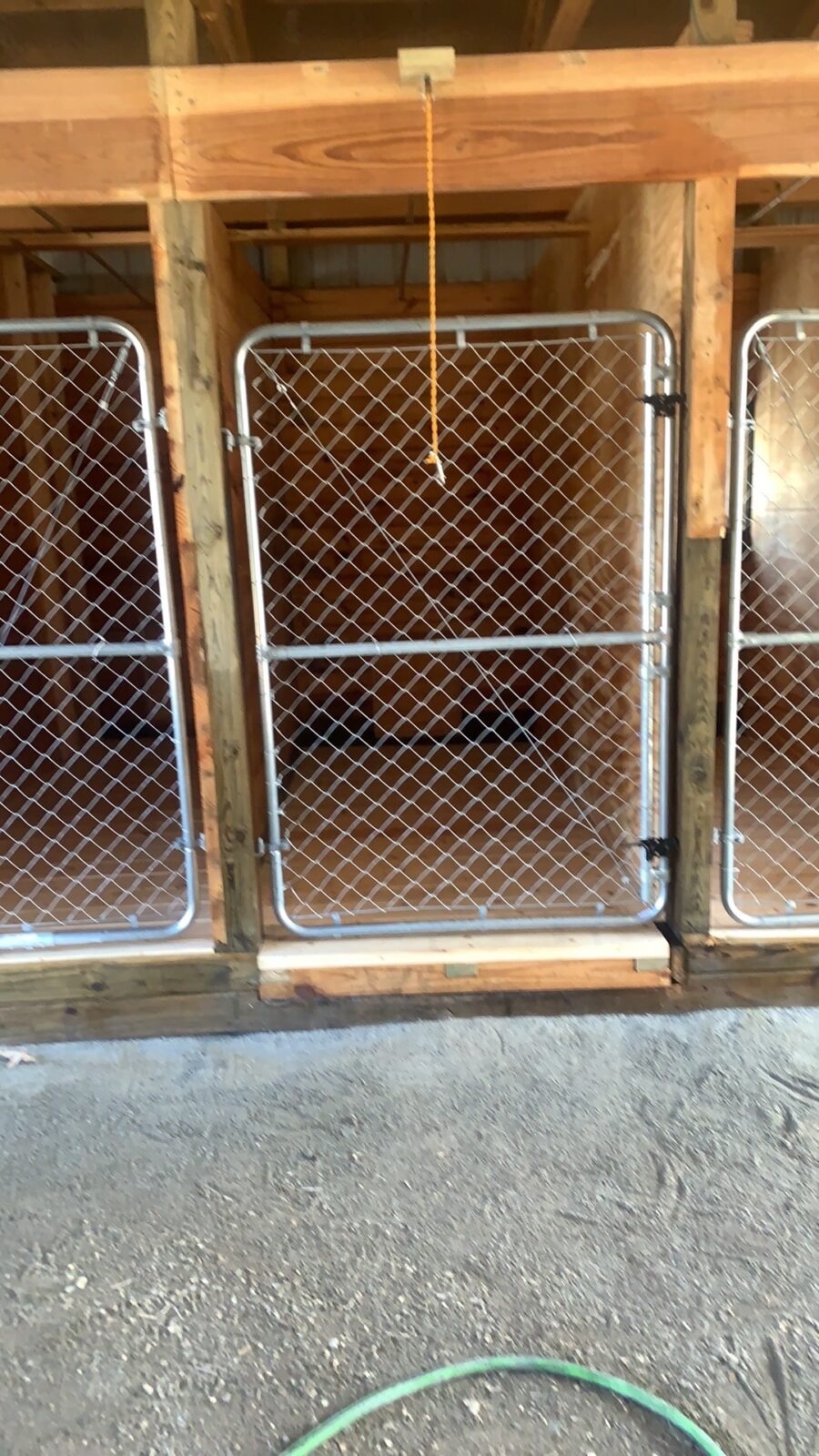 Three empty dog kennels with chain-link gates, set in a wooden structure with a dirt floor and a green hose nearby.