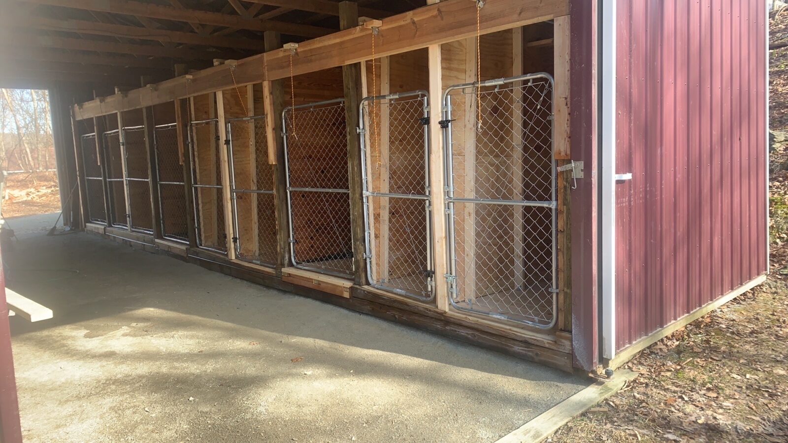 Row of empty dog kennels with chain-link doors inside a wooden structure, sunlight illuminating the space.