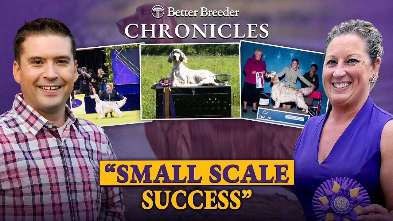 Better Breeder Chronicles: "Small Scale Success" with host and winning dogs.