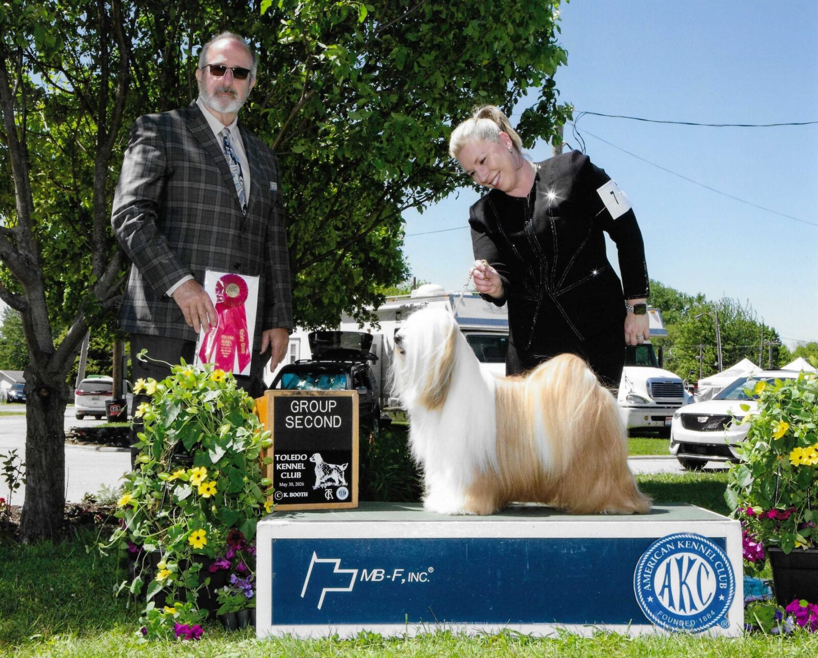 Dog show: Lhasa Apso on podium with handler and judge, holding ribbons.