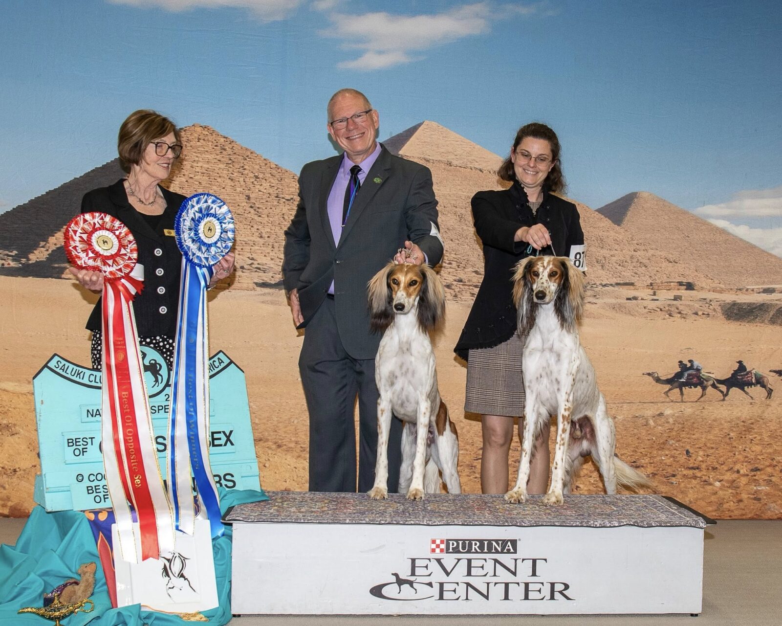 Two Saluki dogs with handlers and ribbons in front of a pyramid backdrop.