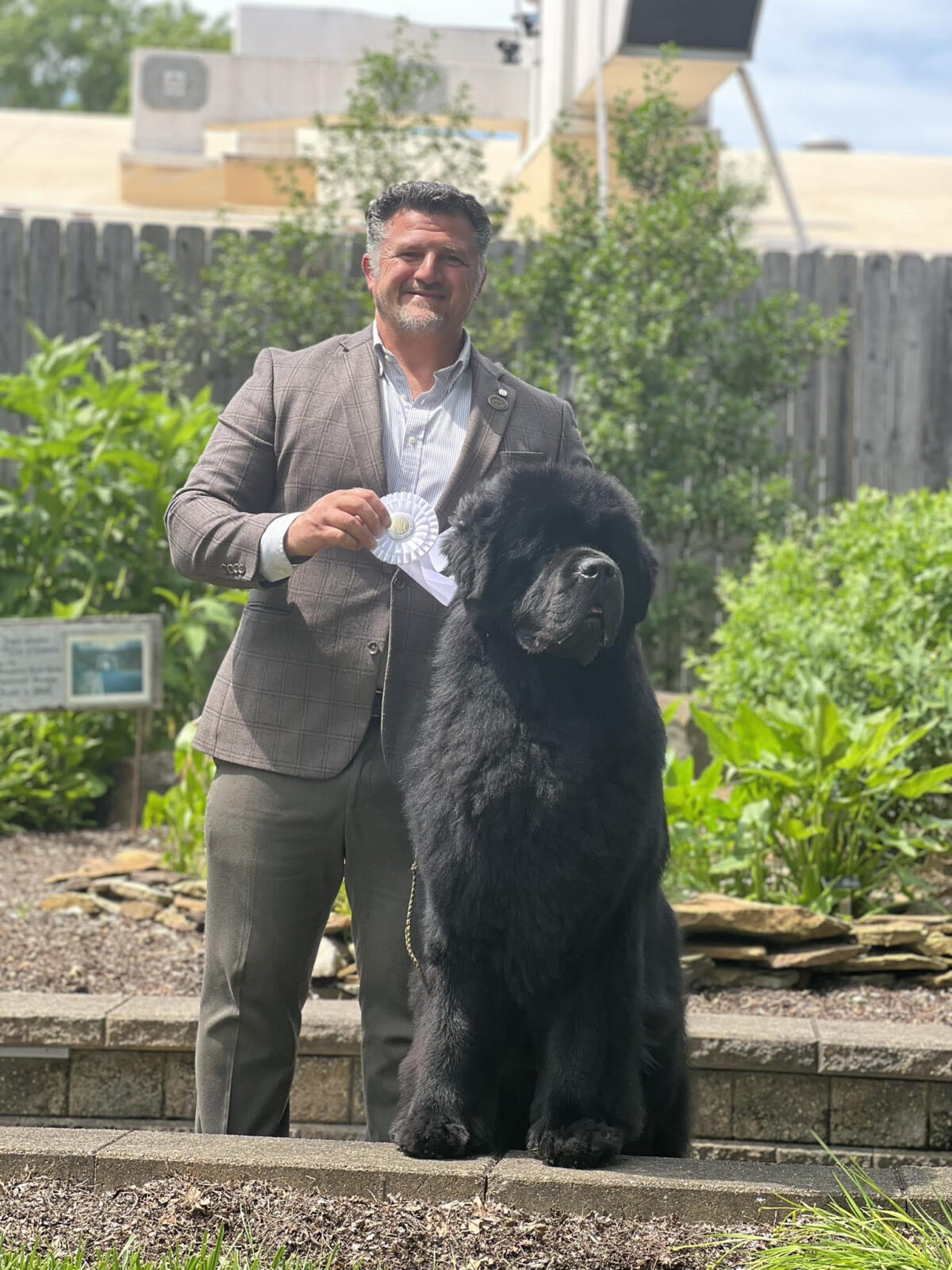Man in suit with award next to large black Newfoundland dog.