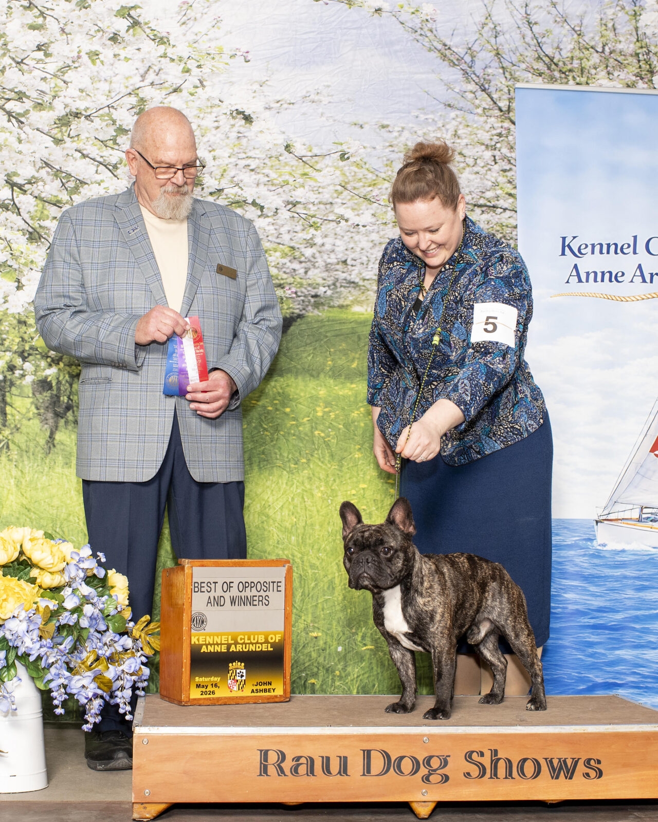 French Bulldog on podium with handler and judge, award ribbons and trophy nearby.