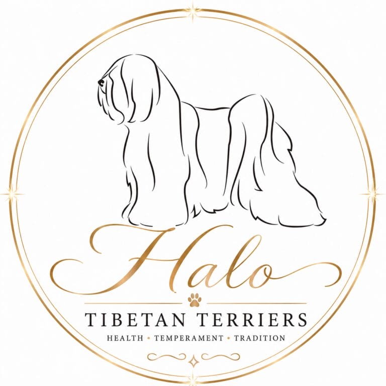 Halo Tibetan Terriers logo with a stylized dog outline and gold accents.