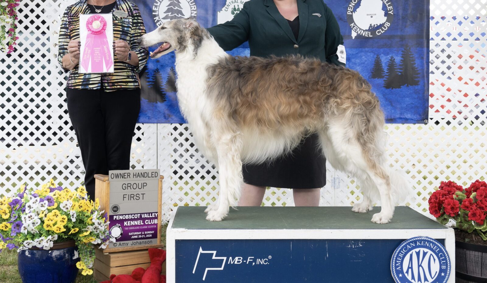 Borzoi