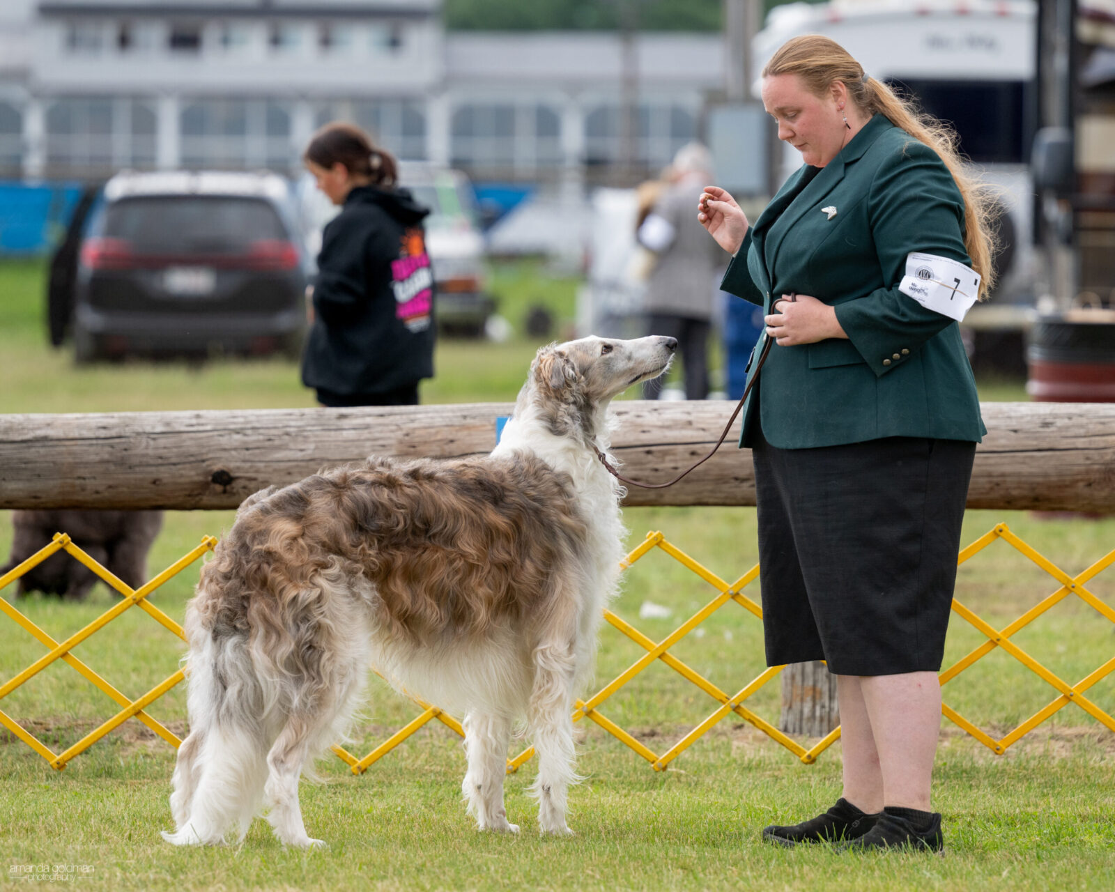 Borzoi dog and handler at a dog show.